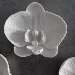 Orchidea in gesso profumato