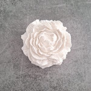 Peonia in gesso profumato